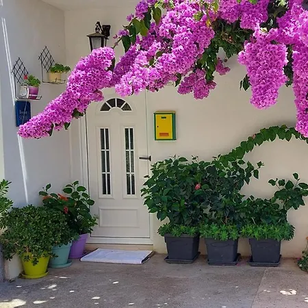 Mediterranean Penzion 3*